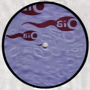 Image of the ordered vinyl