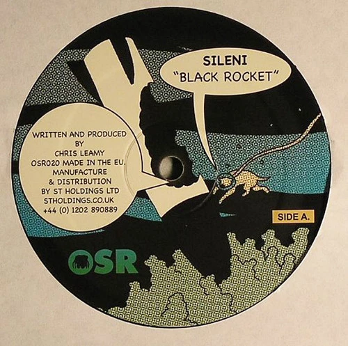 Image of the ordered vinyl