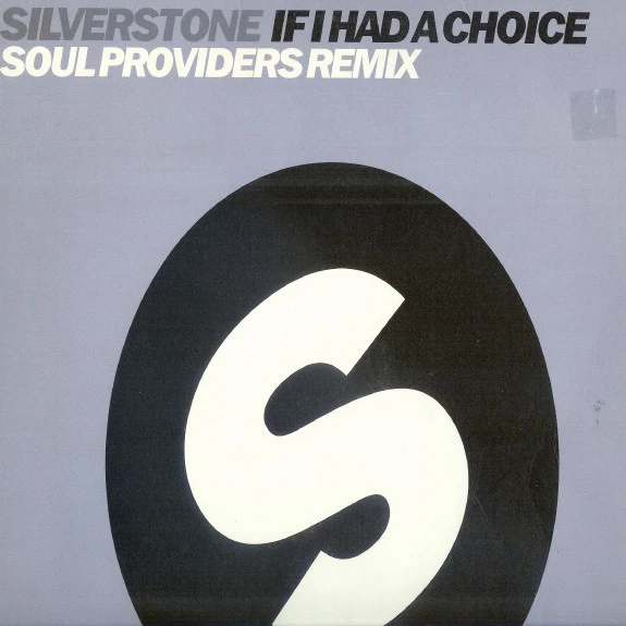 Item If I Had A Choice (Soul Providers Remixes) product image