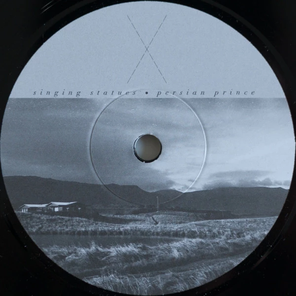 Image of the ordered vinyl