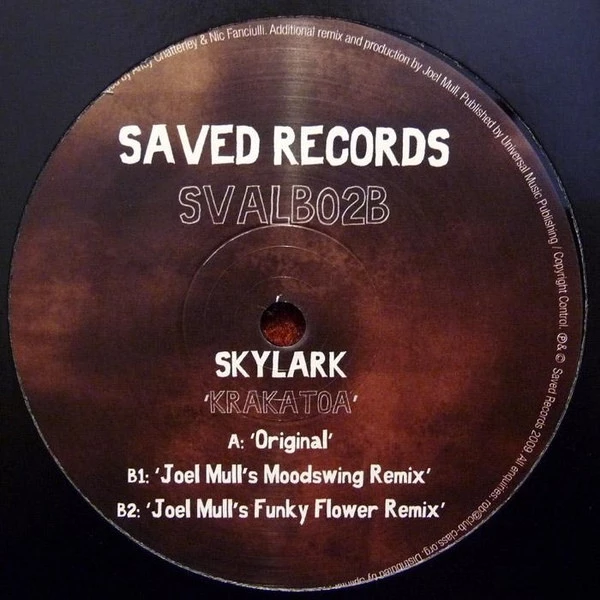 Image of the ordered vinyl