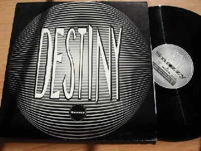 Item I'm Your Destiny product image