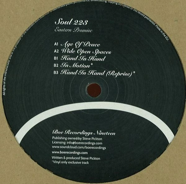 Image of the ordered vinyl