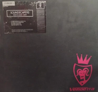 Image of the ordered vinyl