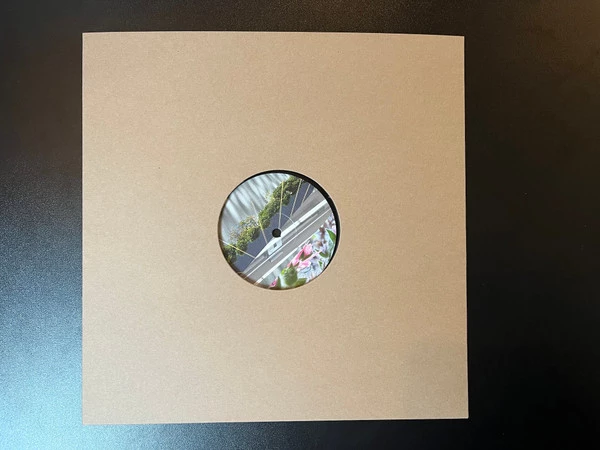 Image of the ordered vinyl