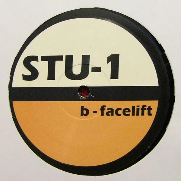 Image of the ordered vinyl