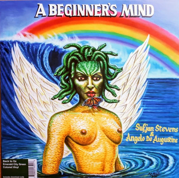 A Beginner's Mind