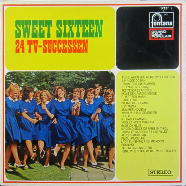 Item Sweet Sixteen (24 TV-Successen) product image