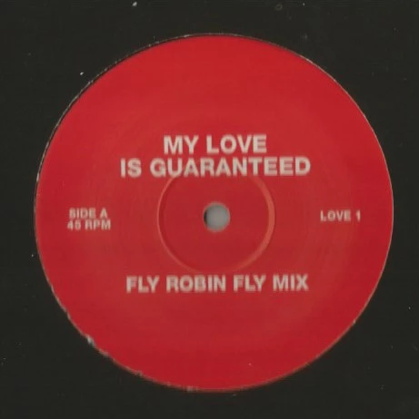 Item My Love Is Guaranteed product image