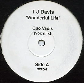 Image of the ordered vinyl