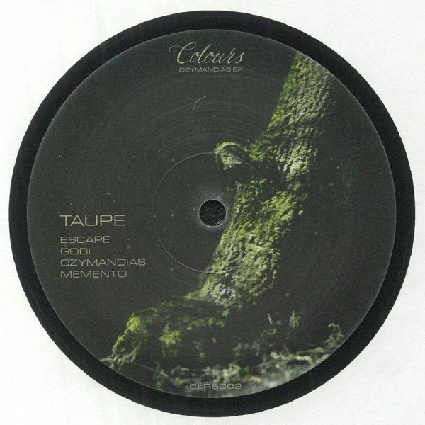 Image of the ordered vinyl