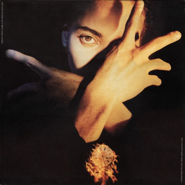 Item Terence Trent D'Arby's Neither Fish Nor Flesh (A Soundtrack Of Love, Faith, Hope & Destruction) product image