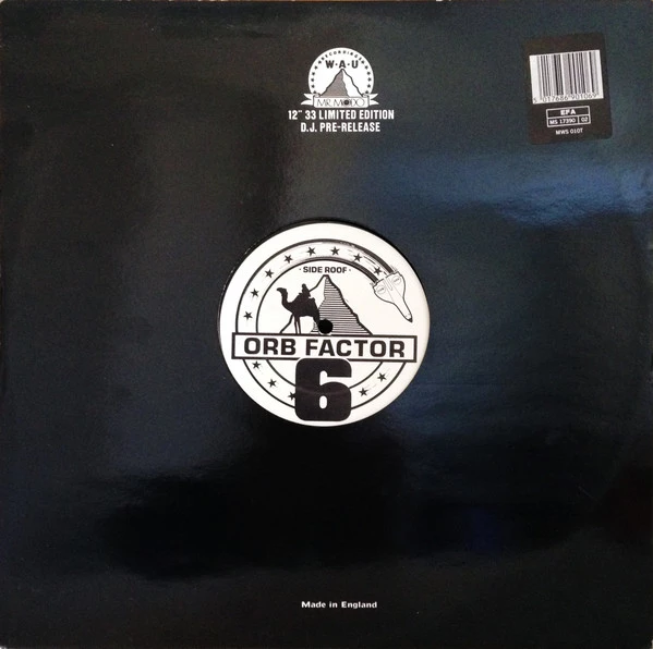 Image of the ordered vinyl