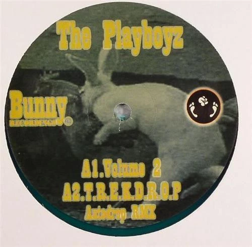 Image of the ordered vinyl