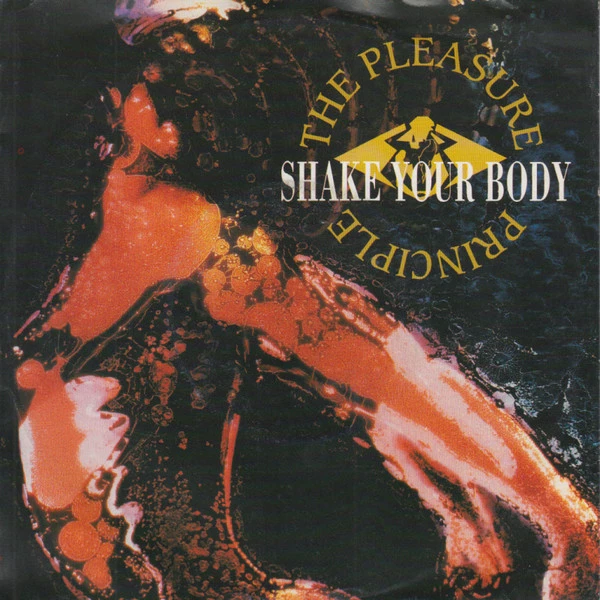 Shake Your Body / What Did You Give