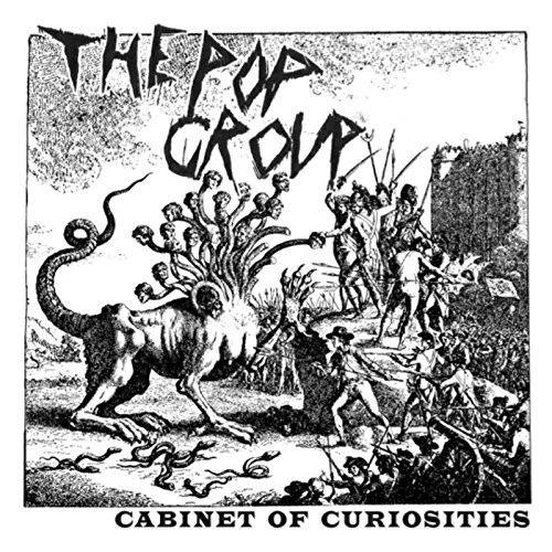 Cabinet Of Curiosities