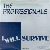 Item I Will Survive product image