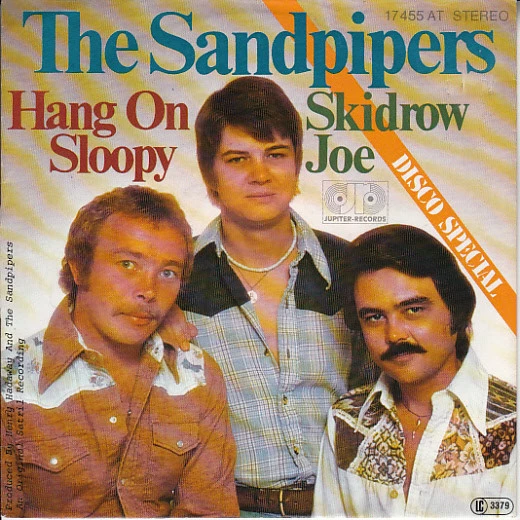 Item Hang On Sloopy / Skidrow Joe product image