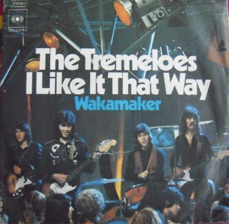 I Like It That Way / Wakamaker