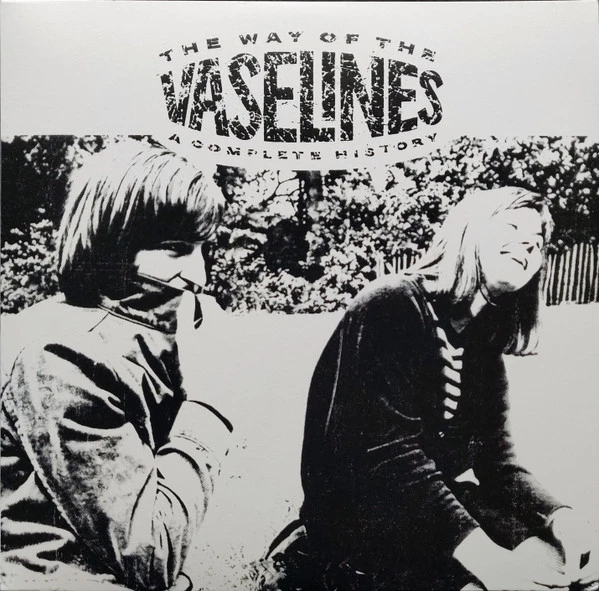 Item The Way Of The Vaselines - A Complete History product image