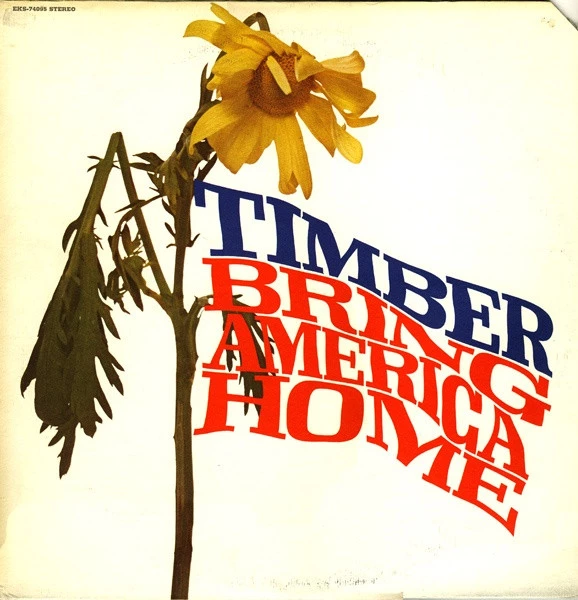 Item Bring America Home product image