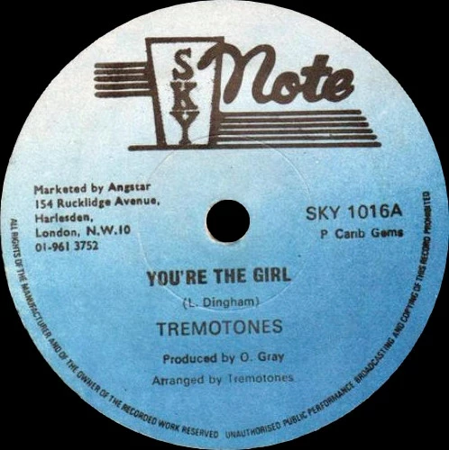 You're The Girl / A Girl In Dub