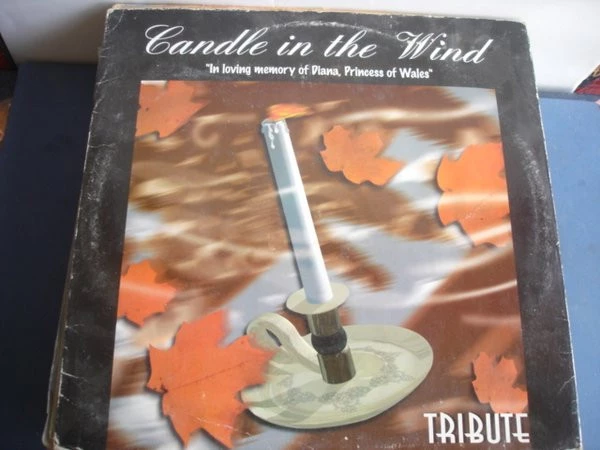 Item Candle In The Wind product image