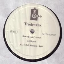 Image of the ordered vinyl