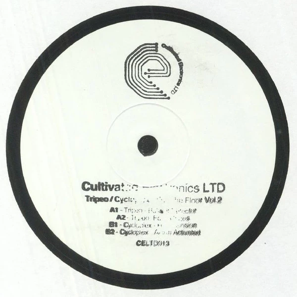 Image of the ordered vinyl