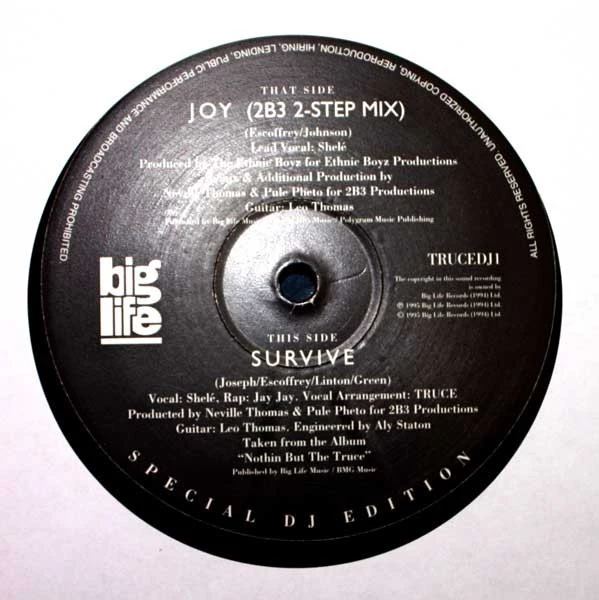 Image of the ordered vinyl