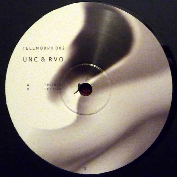 Image of the ordered vinyl