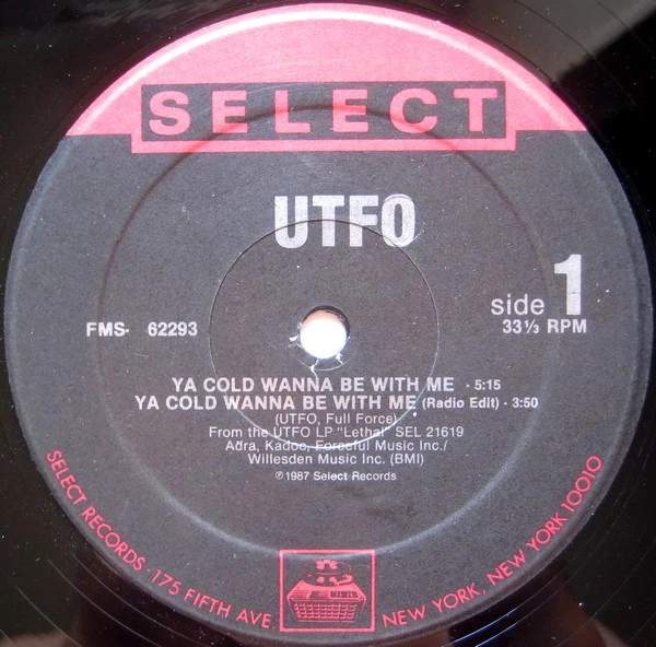 Image of the ordered vinyl