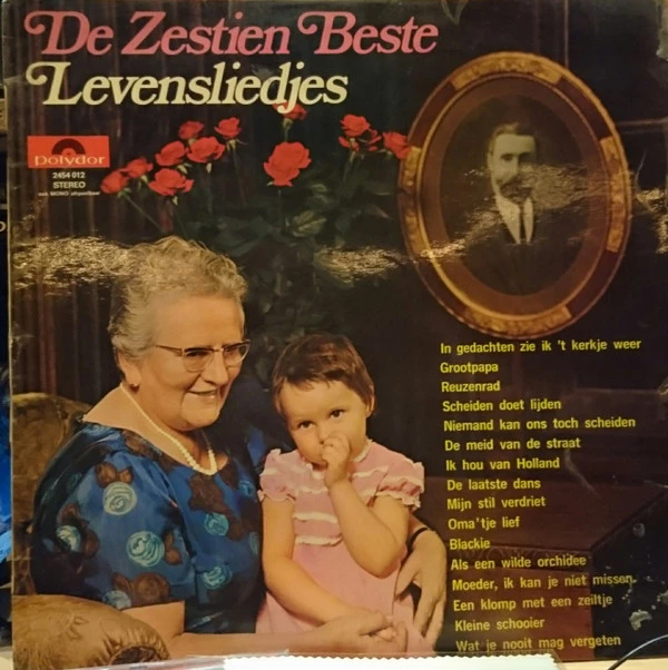 Item De Zestien Beste Levensliedjes product image