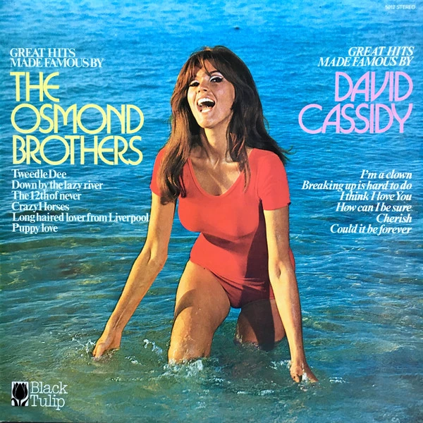 Item Great Hits Made Famous By The Osmond Brothers, David Cassidy product image