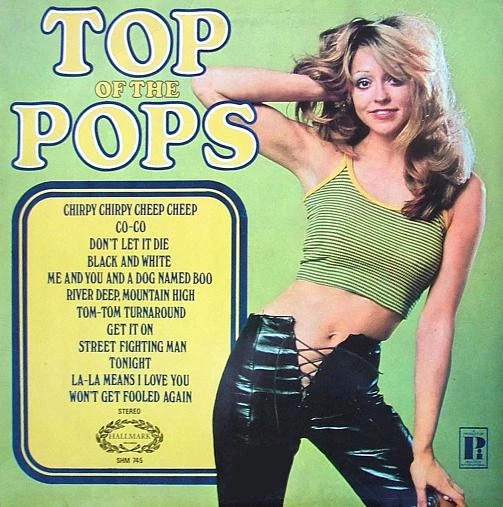 Item Top Of The Pops Vol. 18 product image