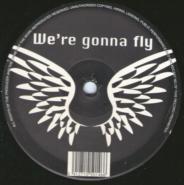 Item We're Gonna Fly product image