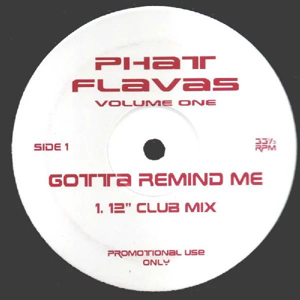 Phat Flavas Vol 1