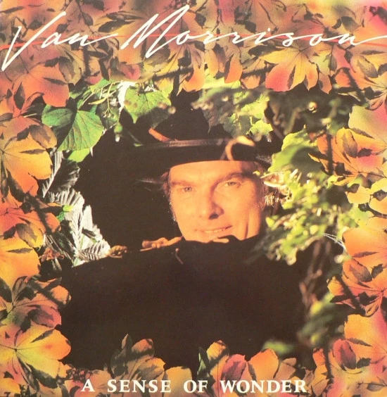 Item A Sense Of Wonder product image