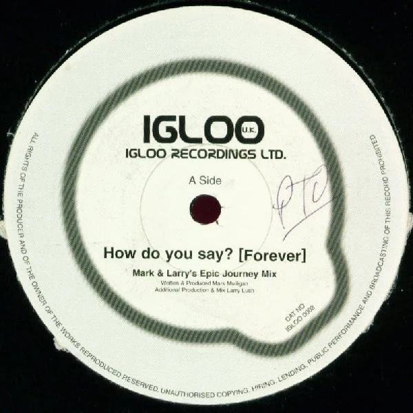 Item How Do You Say? [Forever] product image