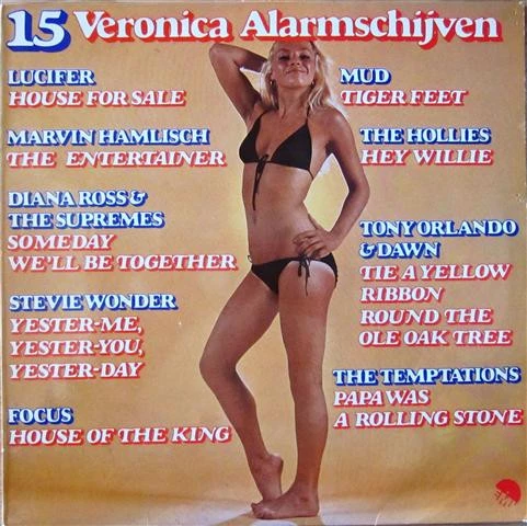 15 Veronica Alarmschijven