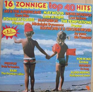 Item 16 Zonnige Top 40 Hits product image