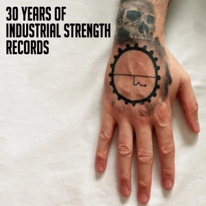 Item 30 Years Of Industrial Strength Records  product image