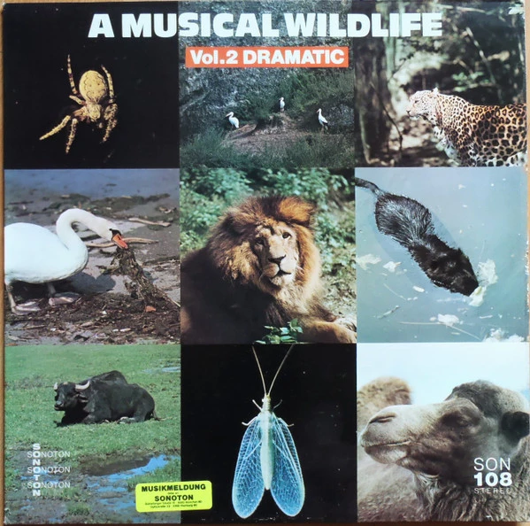 A Musical Wildlife Vol.2 Dramatic