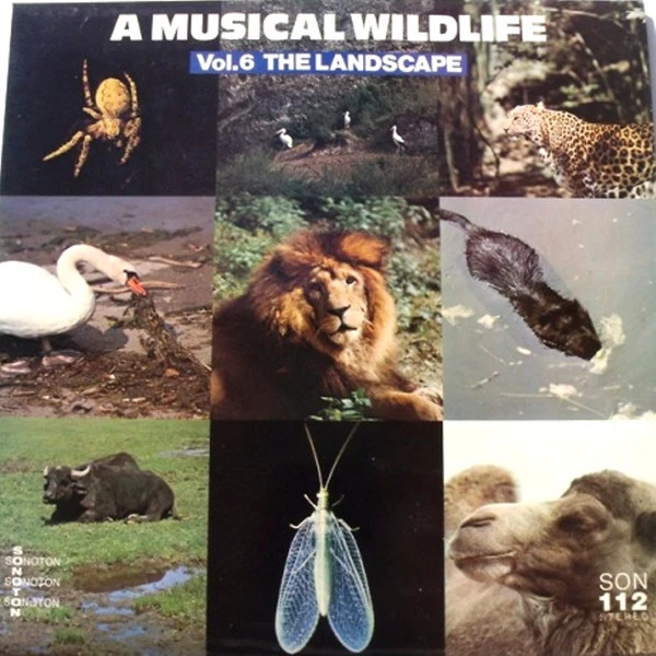 Item A Musical Wildlife Vol.6 The Landscape product image