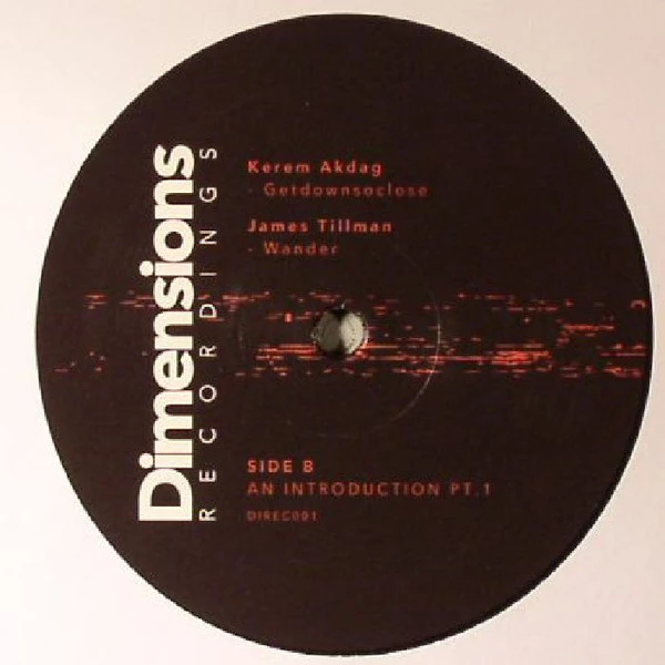 Image of the ordered vinyl