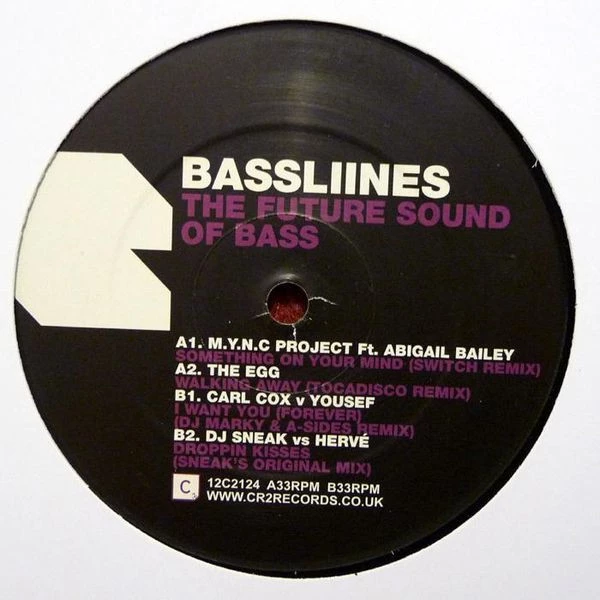 Item Basslines: The Future Sound Of Bass product image