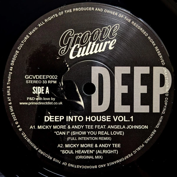 Item Deep Into House Vol.1 product image