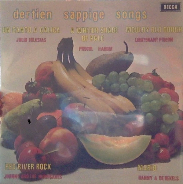 Item Dertien Sappige Songs product image