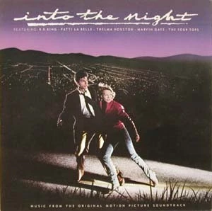 Item Into The Night (Music From The Original Motion Picture Soundtrack) product image