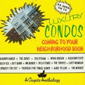 Item Luxury Condos Coming To Your Neighborhood Soon product image